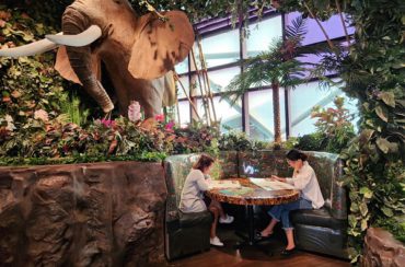 Shop and Dine in Abu Dhabi at Rainforest Cafe UAE