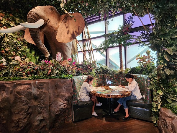 Shop and Dine in Abu Dhabi at Rainforest Cafe UAE